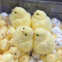 fuzzy chick family